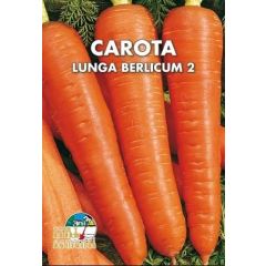 Semi di Carota (lunga) Berlicum 2