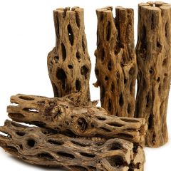 Cholla Wood - Legno di cactus per Gamberetti