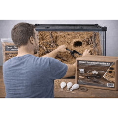 Desert Terrarium Creation Kit - Crea sfondi, pareti e tane naturali