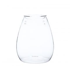 Ada - DOOA Glass Pot SHIZUKU