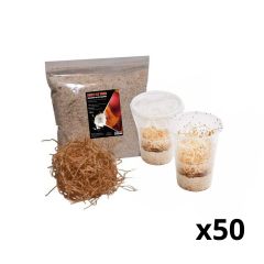 DrosoBreeder - Kit allevamento Drosophile Professionale