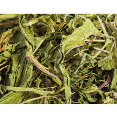 Dr.Raptor Dandelion 1Kg - Foglie di tarassaco per rettili erbivori