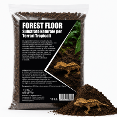 Dr.Raptor Forest Floor - Substrato Naturale per Terrari Tropicali