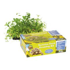 Tortoise Feed Growing Kit