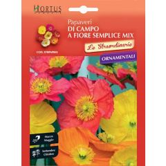 Semi di Papaveri di campo a fiore semplice mix