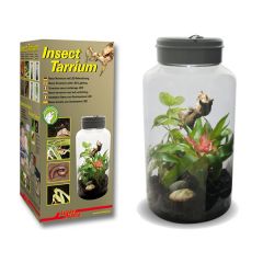 Lucky Reptile Insecttarrium