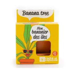 Kit di Coltivazione Pianta di Banano