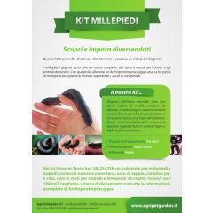 Millepiedi Kit - Kit didattico allevamento Archispirotreptus gigas - Millepiedi Gigante