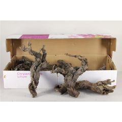 Grapevine Wood "natural" 30-45cm