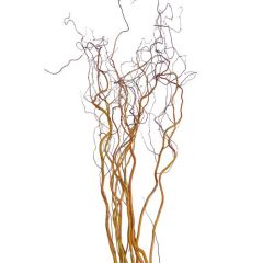 Liana Naturale contorta 130cm