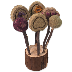Lollipop per roditori 17cm