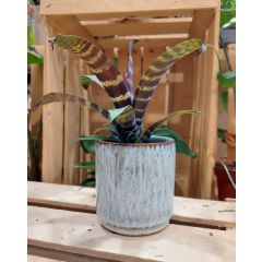 Vaso Medan White 9x9cm
