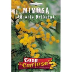 Semi Di Mimosa (acacia Delbata)