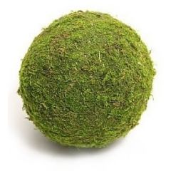 Dr.Raptor Natural Moss Ball