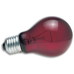 Dr.raptor Nightlight Bulb 50w