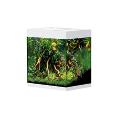 Oase - StyleLine 85 Acquario 50x36xH42cm