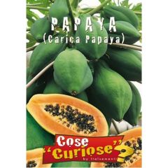 Semi Di Papaya