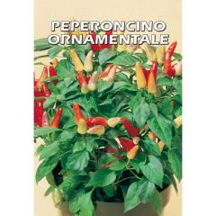 Semi di Peperoncino ornamentale