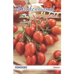 Semi di Pomodoro Datterino