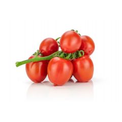 Pomodoro Piccadilly - Vaschetta 4 piantine