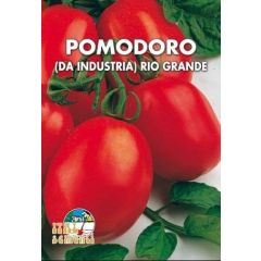 Semi di Pomodoro Rio Grande (da industria)