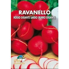 Semi di Ravanello Rosso Tondo 