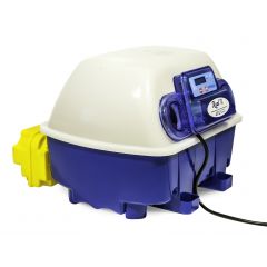 Real 12 Automatica Brevettata - Professionale
