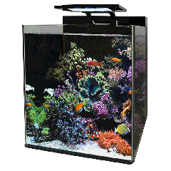 Reef - Acquario Marino Completo - Blue Marine