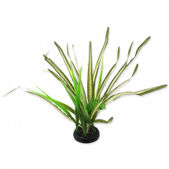 Repti Planet Spartina 30cm