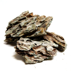 Rocce Dragon/Ohko Stone