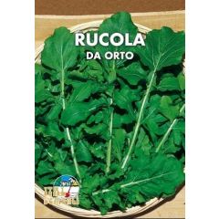 Semi di Rucola Coltivata