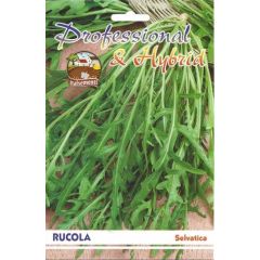 Semi di Rucola Selvatica