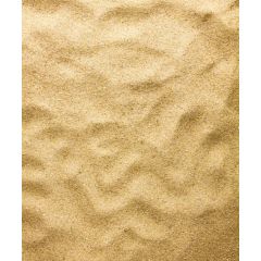 Dr.Raptor Desert Sand Gialla 5kg