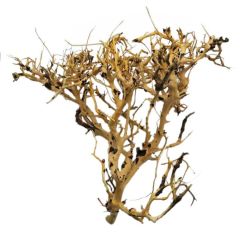 Scaping Twigs / Small Tree - Legno Chiaro per Acquario/Terrario
