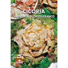 semi di Cicoria variegata di Castelfranco