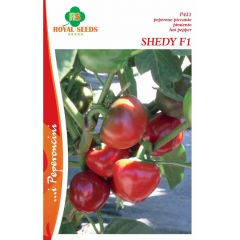 Semi Peperoncino Shedy F1