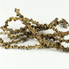 Banana Stems 30-40cm