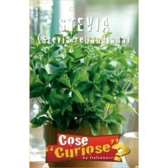 Semi Di Stevia
