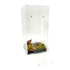 Terrario in acrilico 15x15x30cm