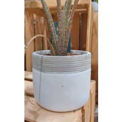 Vaso Berlino 14x13cm