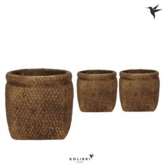 Vaso Canvas