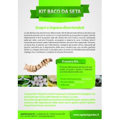 Kit didattico allevamento Baco da seta