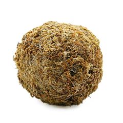 Wabi-Kusa Dirt Ball Vers.2 - Base di Substrato per Wabi-Kusa 9cm