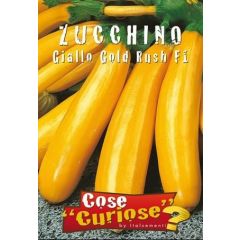 Semi Zucchino Giallo Gold Rush