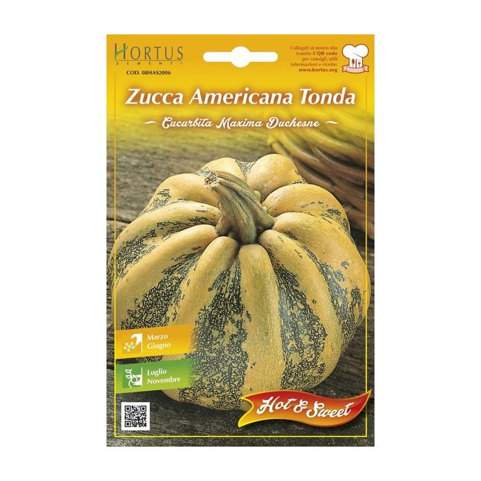 Semi Zucca Americana Tonda