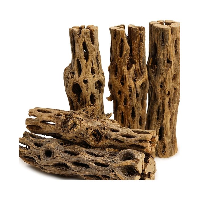 Cholla Wood - Legno di cactus per Gamberetti
