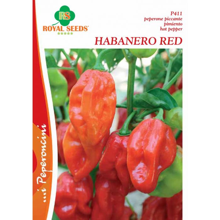 Semi Peperoncino Habanero Red