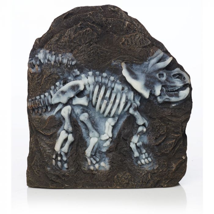 Triceratop Glow In The Dark Fossil