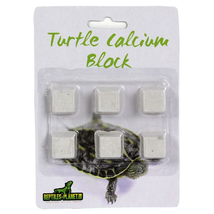 Turtle Calcium Block
