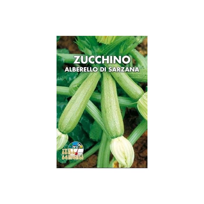 Semi di Zucchino Alberello di Sarzana